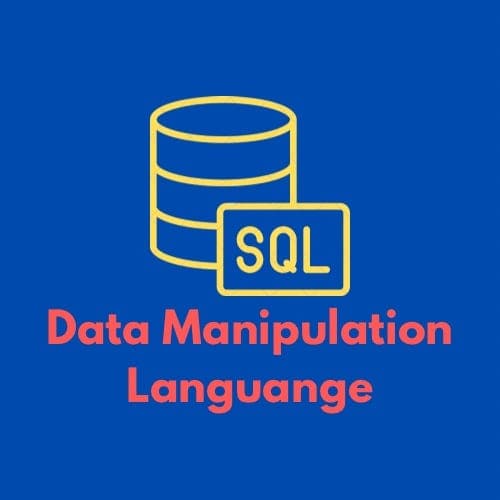 (3/3)SQL Database: Data Manipulation Language(DML) Explained