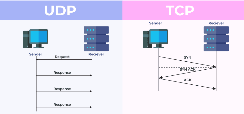 UDP & TCP in Transport Layer