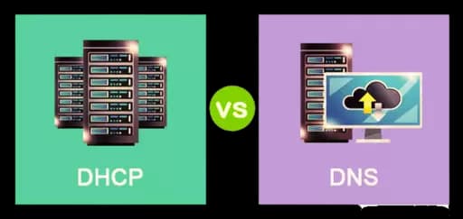Understanding the Basics of Internet Networking: DHCP, DNS, and How the Web Works