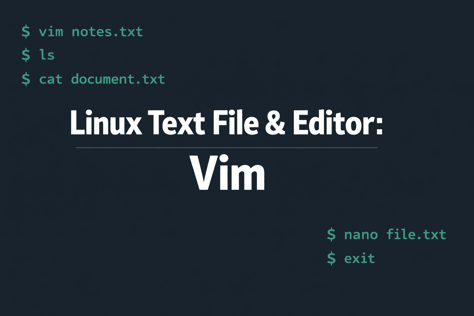 Linux Text File & Editor: Vim