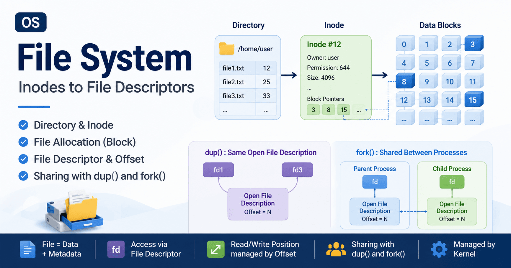 Operating System File Management: Directory, Inode, Block, and File Descriptors